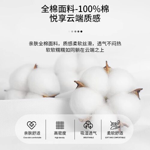 纯棉枕套一对装48×74枕头套单个学生单人宿舍全棉枕芯内胆套家用 - 图0