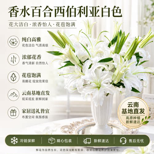 黄天霸百合花小雏菊鲜花黄色重瓣香水百合顺丰次日达插瓶水养花卉 - 图0