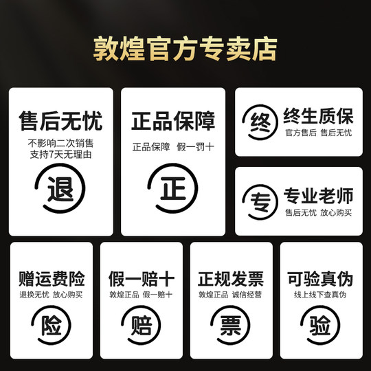 Instrumento oficial de Dunhuang guzheng para principiantes y adultos.