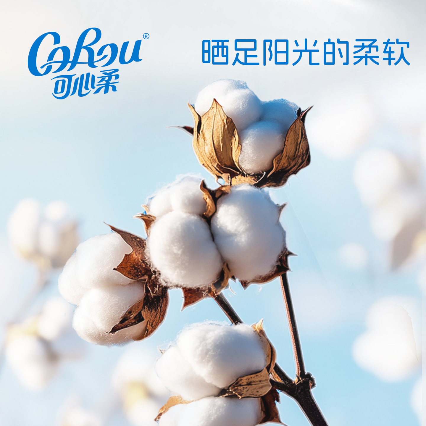 可心柔婴儿棉柔巾干湿两用100%纯棉宝宝擦脸巾70抽一次性洗脸巾,淘宝优惠券,粉丝福利购,淘宝优惠卷