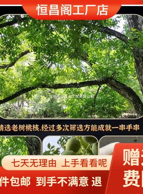 2026厂家包邮脑纹桃核手串文玩龙纹小桃胡盘玩把玩手把件士款野