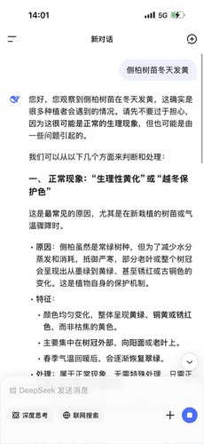 侧柏柏树圆柏扁柏土球发货易成活绿化苗木基地直供产地直销四季常 - 图0