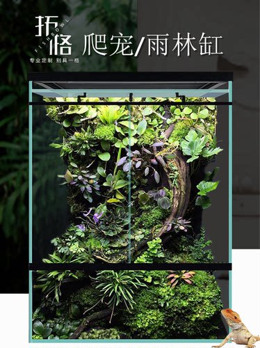 拓格定制雨林缸金晶超白带推拉门雨淋缸客厅热带生态造景爬宠养箱 - 图1