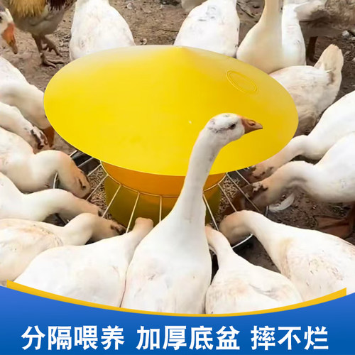 五一出行神器自动喂食器养鸡鸭鹅食槽喂鸡料桶饮水槽带盖子饲料桶 - 图2