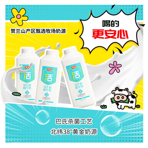 金河益生菌低温酸牛奶原味朗姆味大桶装风味发酵酸奶1kg*2 - 图1