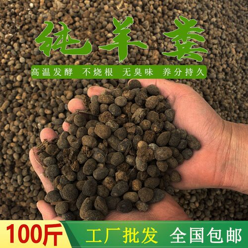 有机肥100-60斤羊粪蛋纯羊粪发酵肥盆栽菜园花卉果树植物通用肥料 - 图0