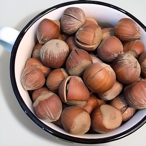 25年新货 东北野生开口原味大榛子熟 无添加孕妇坚果零食炒货500g - 图0