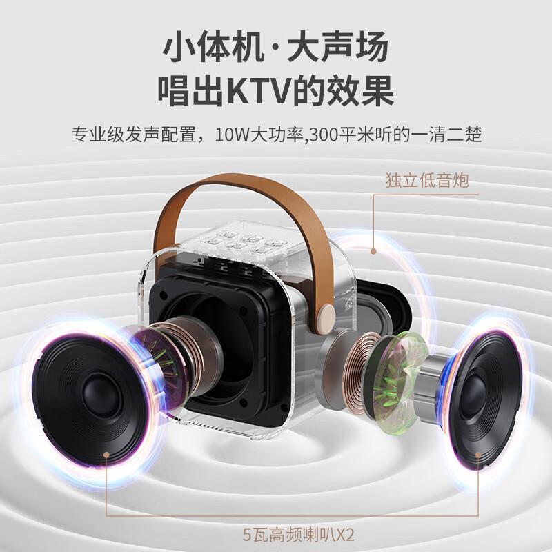 Peiqing mini all-round karaoke Bluetooth speaker home KTV audio microphone all-in-one portable outdoor singing artifact