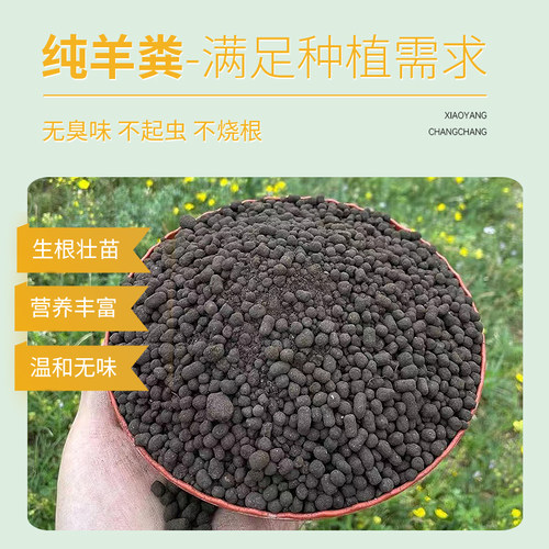 羊粪发酵有机肥内蒙古纯羊粪100腐熟发酵羊粪有机肥料蔬菜专用肥 - 图1