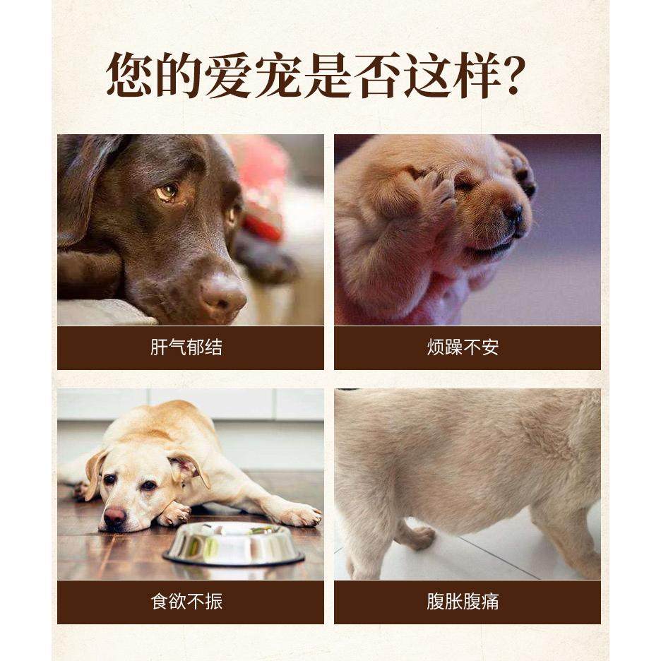 益宠堂益甘丹宠物保肝丸狗狗猫咪护肝食欲不振肝脏保健营养补充剂,淘宝优惠券,粉丝福利购,淘宝优惠卷