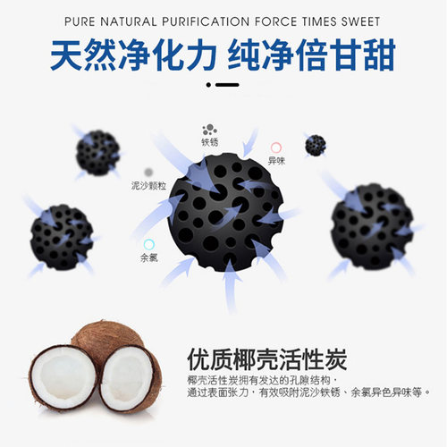 净水器后置活性炭T33椰壳活性炭直饮纯水机配件平口平压2分3分T33 - 图1