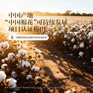 水星家纺新疆棉花被60支长绒棉被芯100%纯棉全棉夏被四季春秋被子