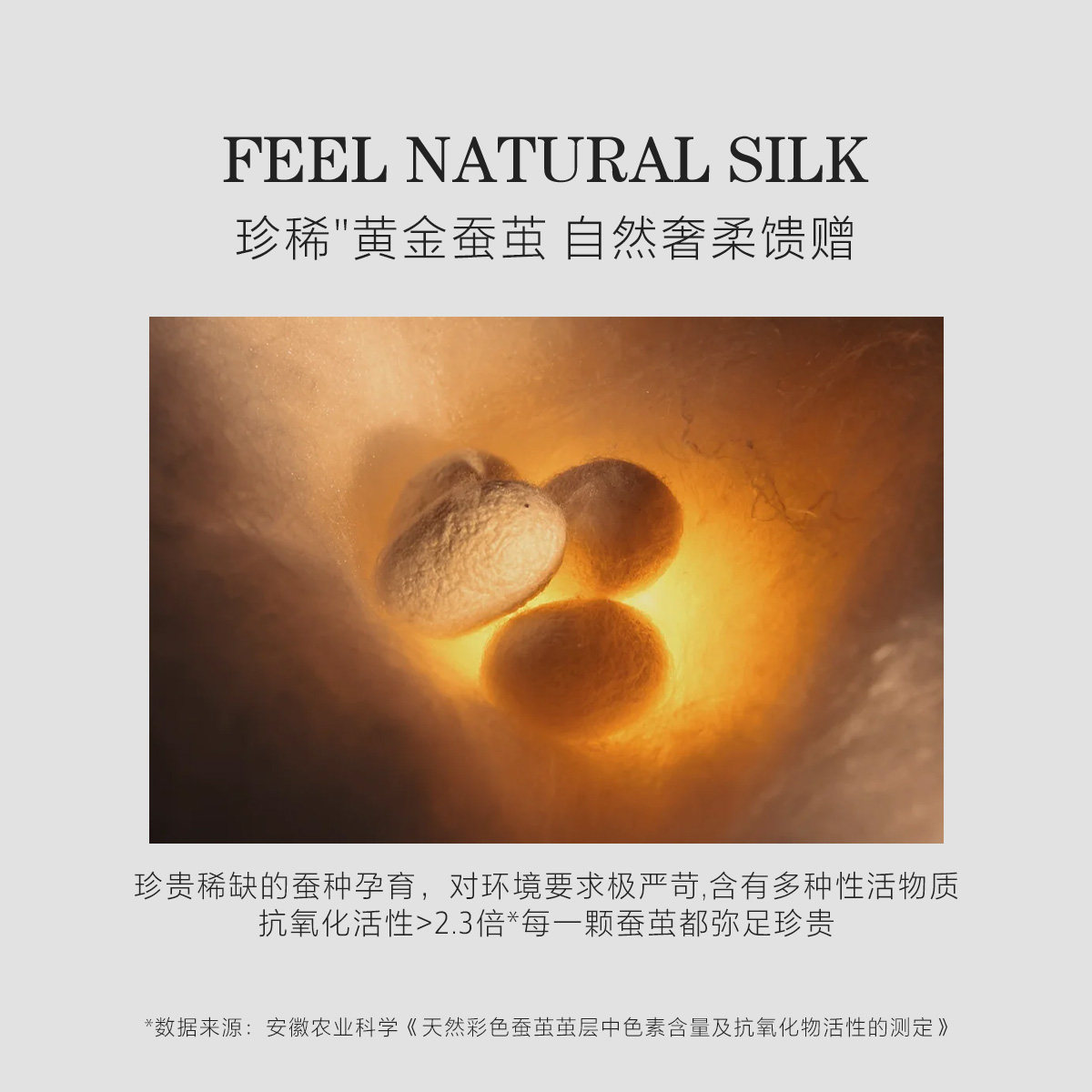 水星家纺120S天丝金桑蚕丝夏被空调被高端轻奢可水洗机洗薄被子,淘宝优惠券,粉丝福利购,淘宝优惠卷