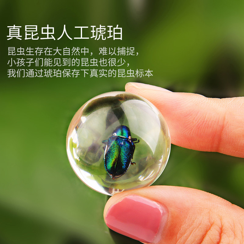 三泡早教琥珀昆虫仿真动物益智玩具 三泡仿真/动物玩偶