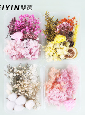 三八节干花diy材料包相框团扇浮游瓶永生花diy材料幼儿园插花装饰