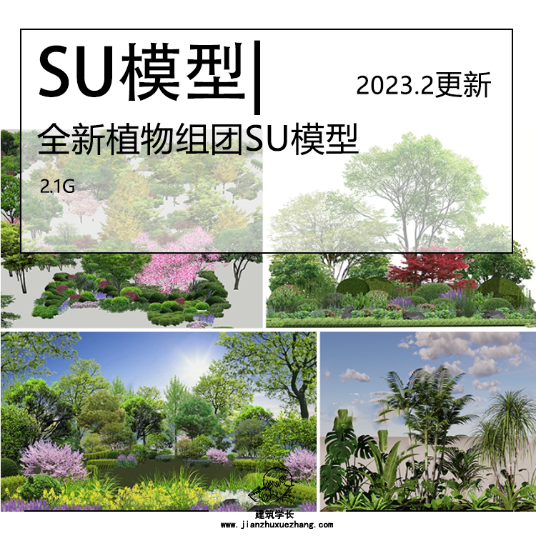 全新植物组团SU模型合集现代园林景观树乔木灌木地被花卉_虎窝淘