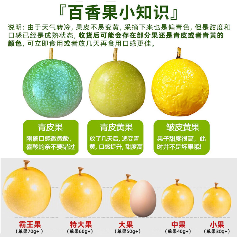 广西钦蜜9号黄金百香果新鲜水果包邮5斤大果现摘黄皮黄金果