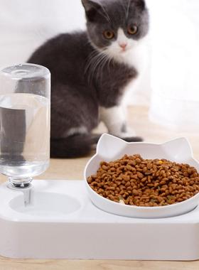 Pet Bowl Automatic Feeder Dog Cat Food Bowl with Water Dispe