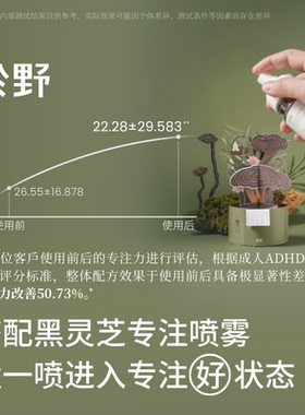 於野黑灵芝专注纸艺扩香盆栽