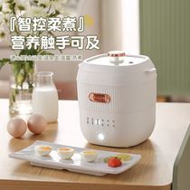 2023 New Steamed Egg machine Mini boiled egg device Home Automatic power cut Small boiled egg theorizer Dormitory Small Power