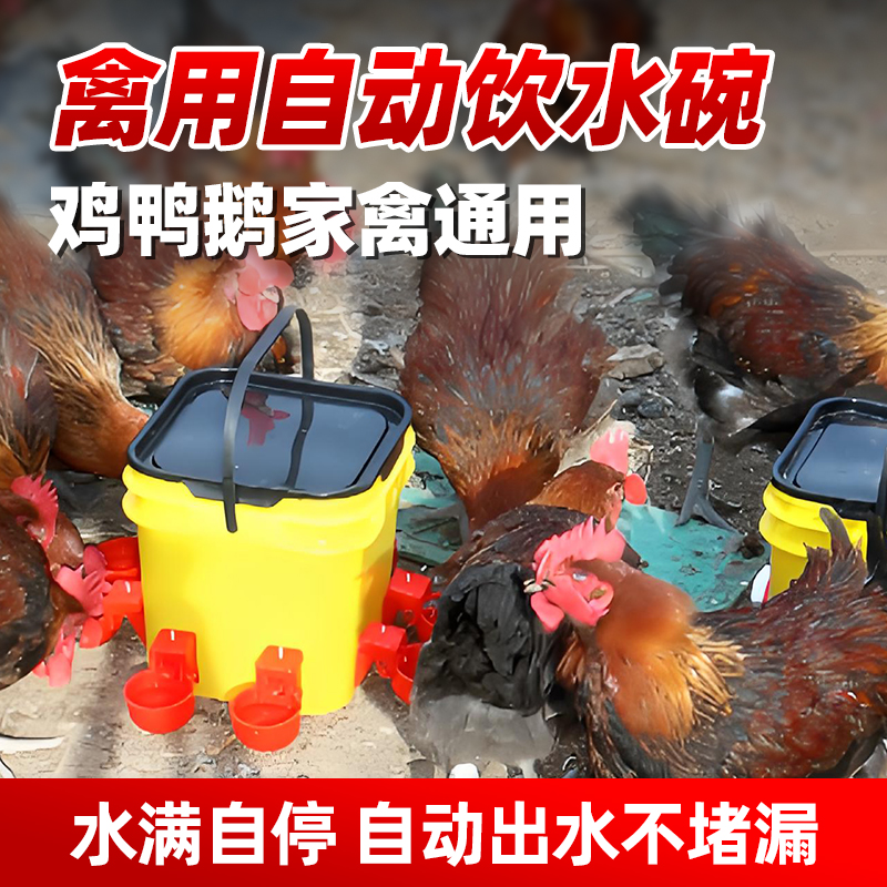 鸡饮水器养鸡鸭自动喝水懒人喂鸡神器新型鸡鸭鹅水壶养殖喂鸡水槽 - 图2