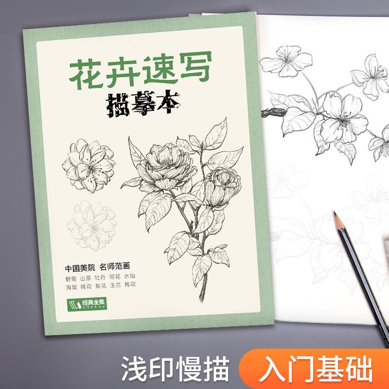 经典全集 花卉速写描摹本 零基础画画入门新手自学教程书籍线描花卉临摹手绘初学者学绘画教材铅笔画素描速写描摹画稿美院名师范画 - 图1