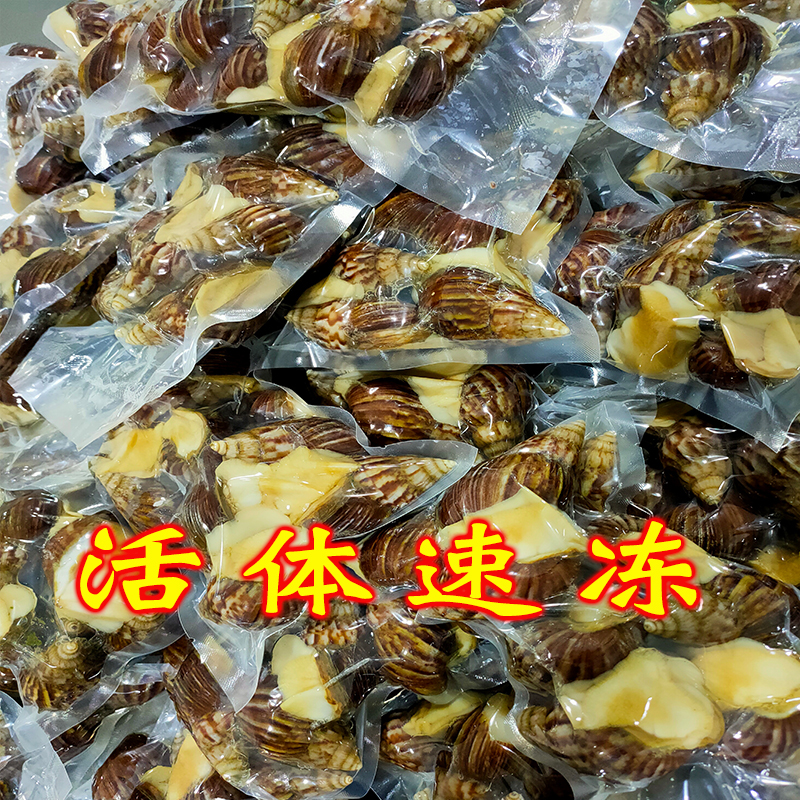 食用白玉蜗牛餐饮酒店特色菜活体蜗牛养殖种牛教技术宠物教学蜗牛 - 图3