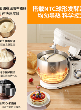 三利达10L大容量厨师机和面发面