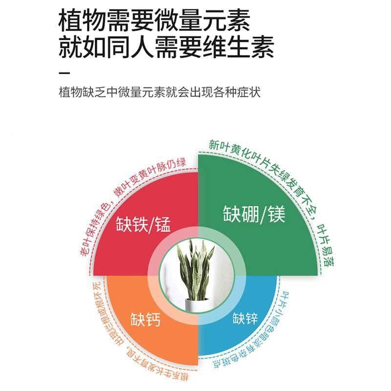 虎专皮兰用肥营养液虎尾兰物边家用TJM盆栽植通用土水培金叶面肥 - 图1