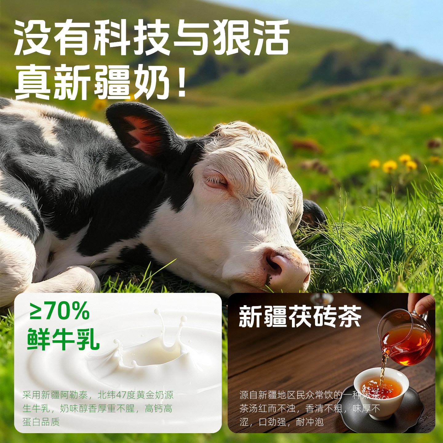 新疆鲜奶奶茶粉奶粉冲饮热饮学生营养早餐喝食补粉健康解馋零食,淘宝优惠券,粉丝福利购,淘宝优惠卷