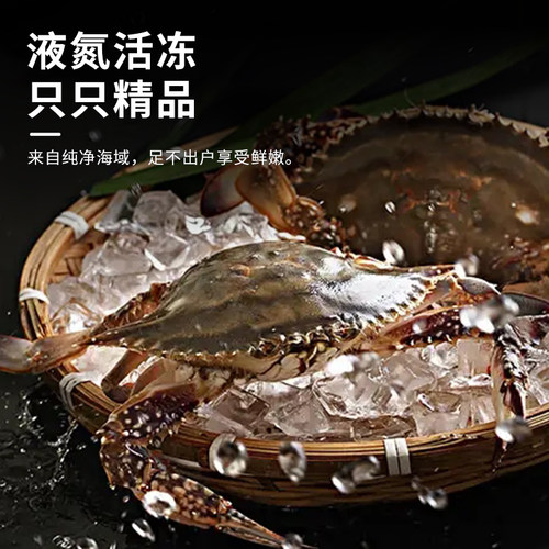 海螃蟹舟山梭子蟹新鲜超低温冷冻大海蟹海鲜水产白蟹飞蟹公蟹母蟹 - 图0