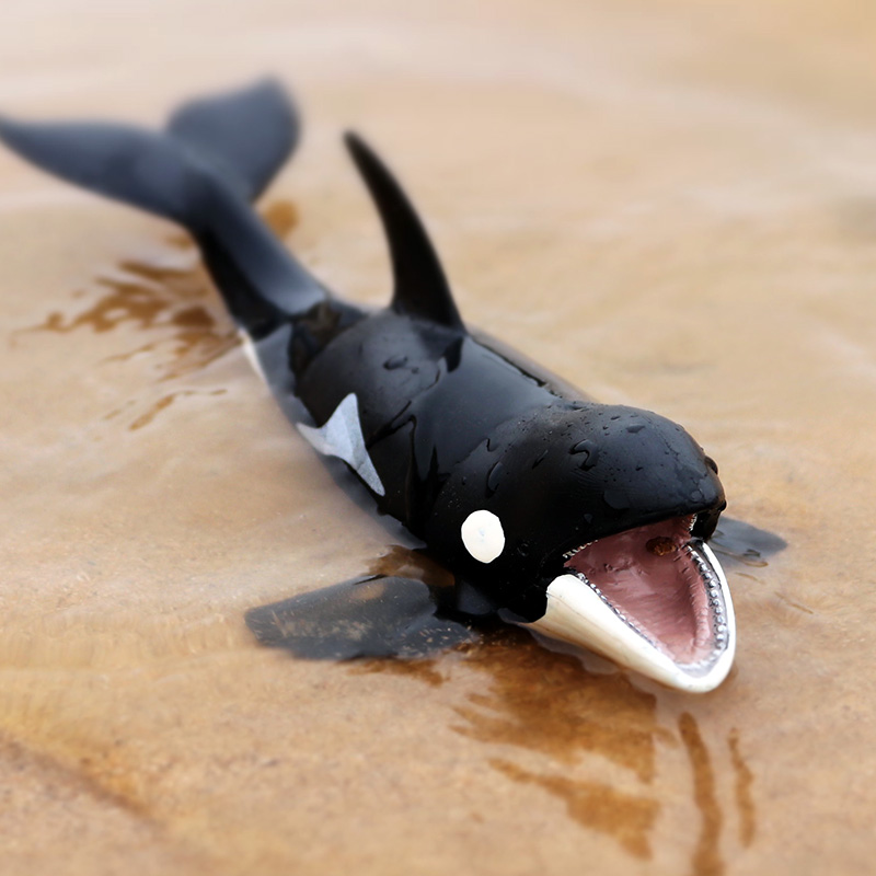 oenux仿真海洋生物动物模型白鲸虎鲸抹香鲸蓝鲸鱼独角鲸儿童玩具 - 图0