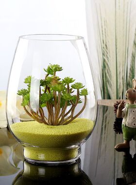 轻奢水培植物玻璃瓶水养绿萝花瓶