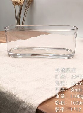 家用绿箩水仙铜钱透明长方形花盆