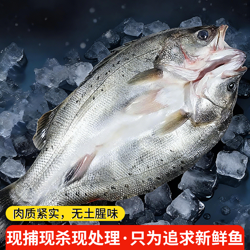 闽威海鲈鱼新鲜海鲜半成品去鳞去鳃去内脏三去开背免处理550g*2条