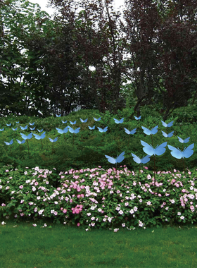 铁艺仿真蝴蝶草坪金属园林景观