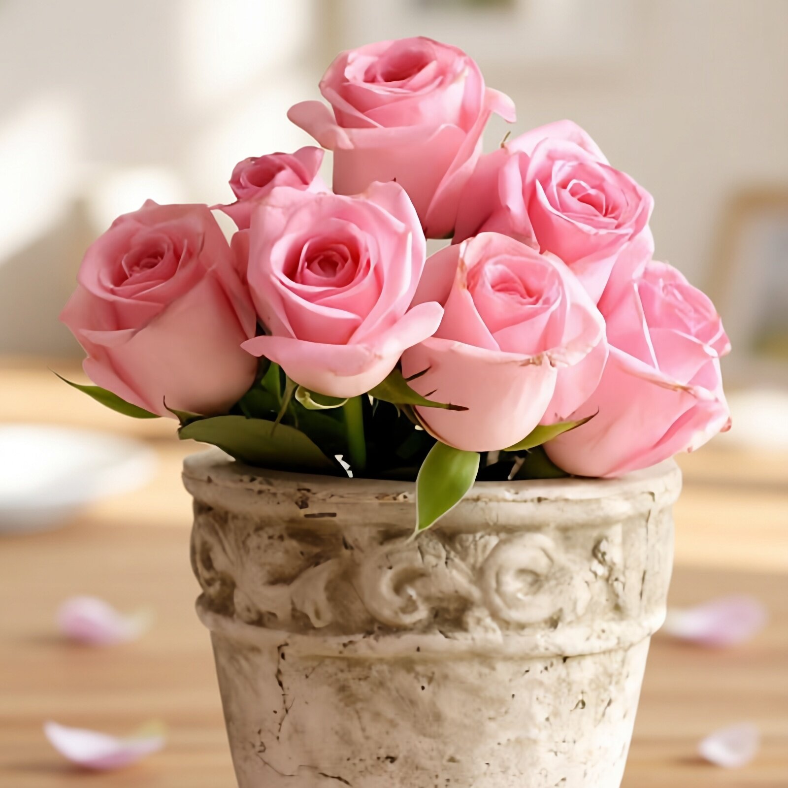 玫瑰花种籽子四季播种开花易活室内花卉植物盆栽室外庭院鲜花种子