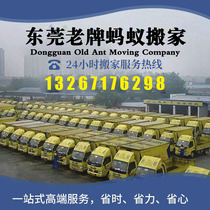 Dongguan Moving Company Southeastern City Wanjiang Wangjiang Bull Pier Flood Zhongtang Township Moving and Moving Service Company