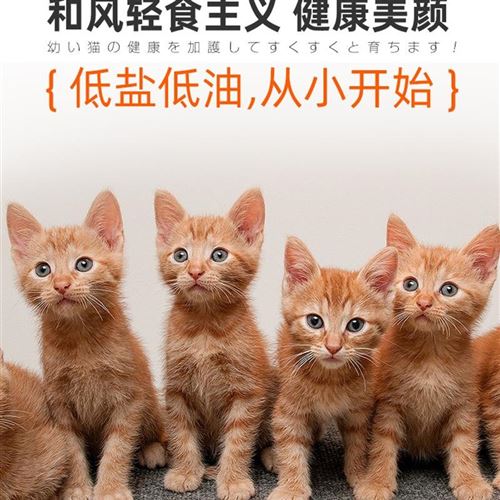 买2送1 低盐l低镁天然猫粮 幼猫猫粮 馋嘴猫粮 2斤/袋优惠券