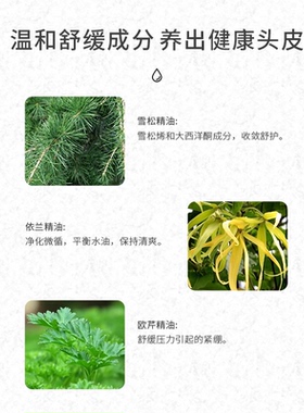 芳香世家护发精油试用小样