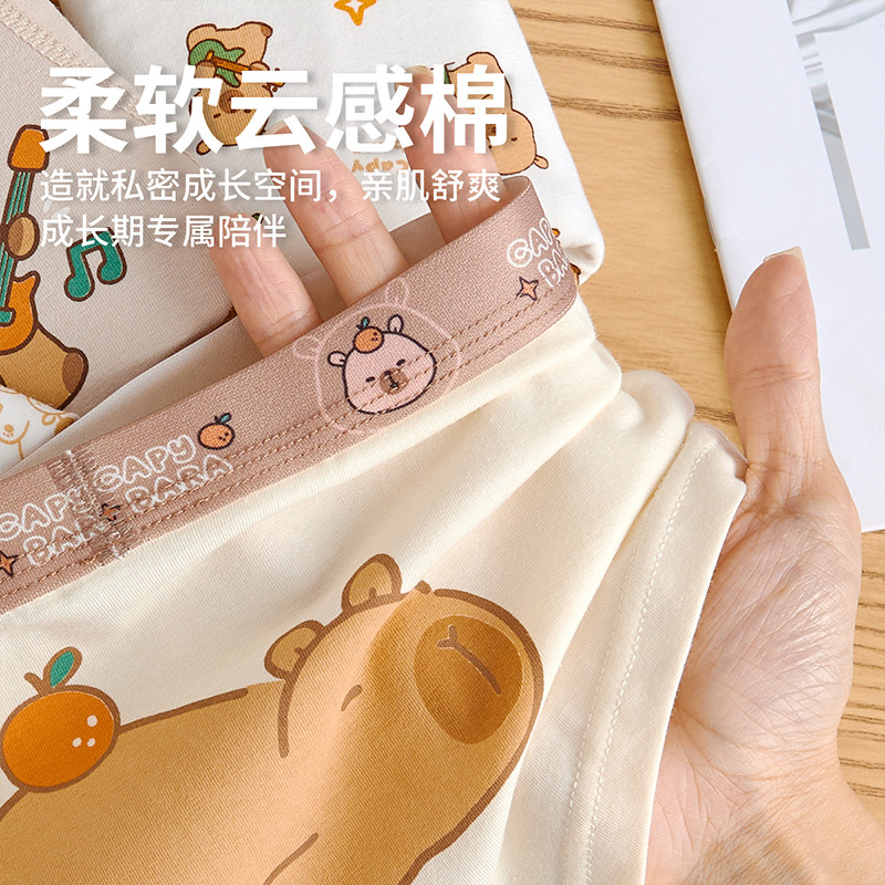 【100%全棉裆】男童内裤儿童纯棉a类新款裤衩宽松四角男宝宝小童,淘宝优惠券,粉丝福利购,淘宝优惠卷