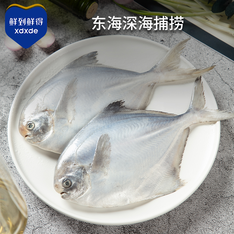 鲜到鲜得银鲳鱼400g*4新鲜冷冻深海鲳鱼平鱼东海 - 图0