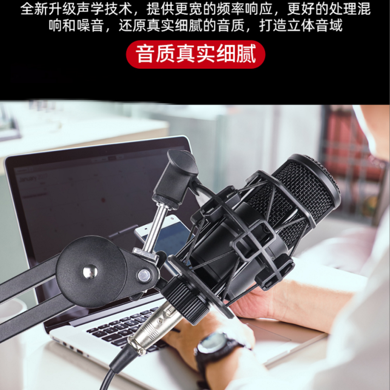 帝华电容麦克风m260专业振膜声卡 tiwastage麦克风/话筒