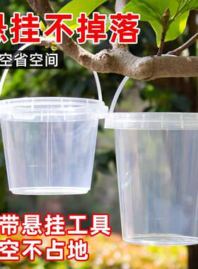 奶茶杯蝴蝶兰花盆塑料奶茶桶蝴蝶兰花卉绿植盆栽室内蝴蝶兰专用杯