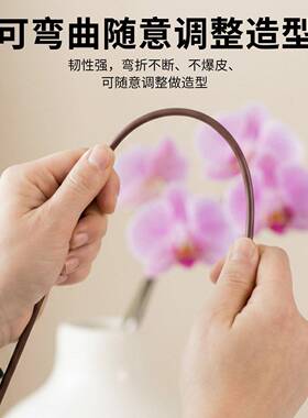 蝴蝶兰支撑杆防倒伏支架盆栽架园艺造型爬藤花卉专用铁丝植物支架