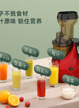分离家用小型全自动蔬菜榨果汁机