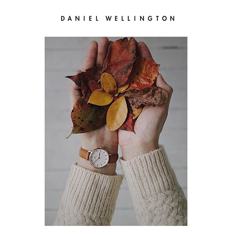 Danielwellington 丹尼尔惠灵顿dw手表女 28mm皮带女表石英表