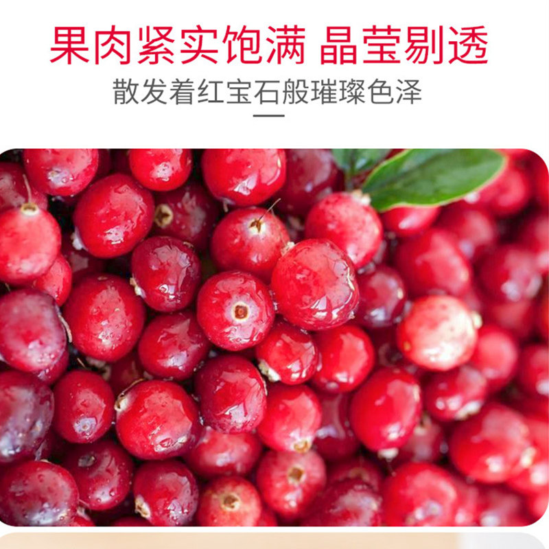 蔓越莓500g雪花酥烘培原材料水果干 倍滋倍味蔓越莓干