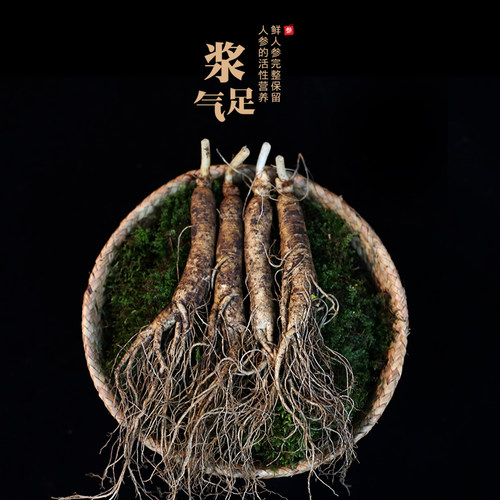 人参鲜参长白山脉参新鲜人参泡酒人参可晒干东北生晒参 - 图0