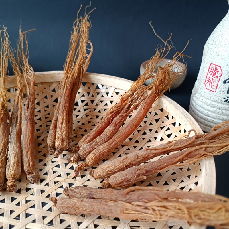  宇参源滋补养生人参/园参及其制品